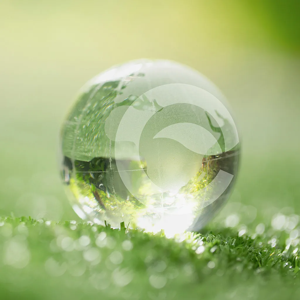 Ecobliss sustainability visual showing eco-friendly green planet initiative